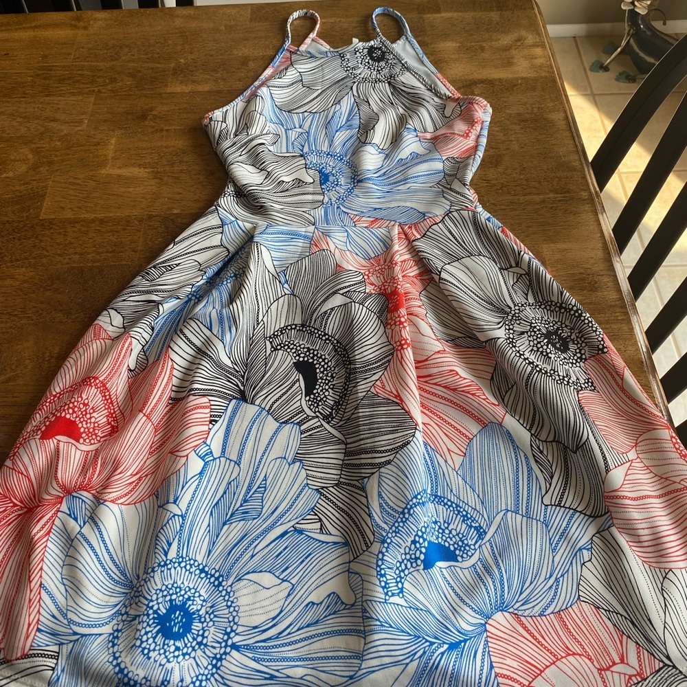 Floral skater dress
